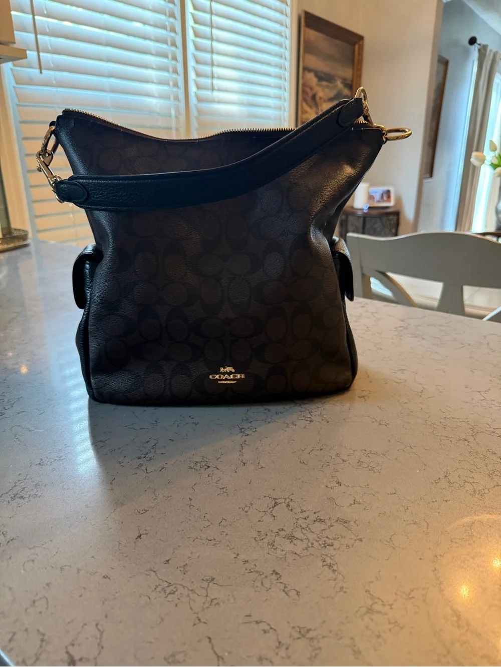 Coach Pennie Shoulder Bag Signature Canvas Brown Black Leather C1523